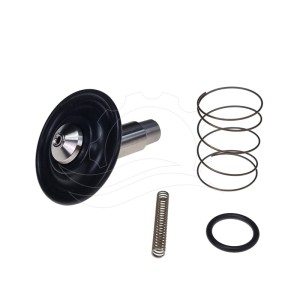 Opravná sada pro solenoidový ventil Bürkert 6213 0-10bar DN13 FKM VA DC