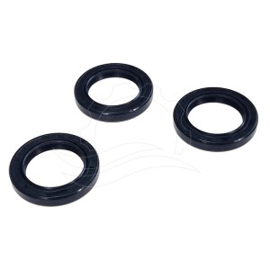 Těsnění oleje mezi čerpadly (sada 2)